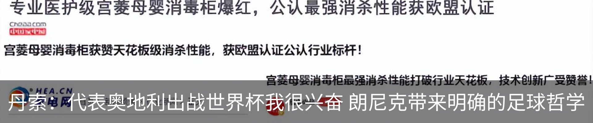 新闻动态